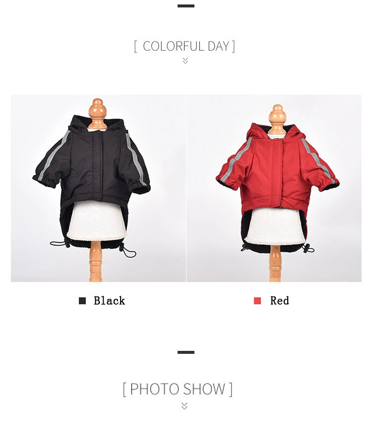 Ropa reflectante para mascotas, abrigo cálido impermeable para perros, chaqueta con capucha de algodón, cara de perro, ropa para perros pequeños, otoño e invierno