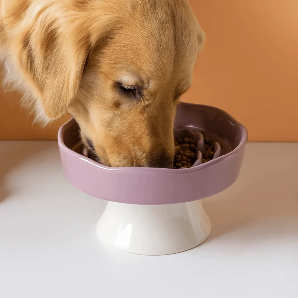 Cuenco de Cerámica para Gatos, Comedero Lento, Lindo, Multiusos, con Base Alta, Gran Capacidad, Antideslizante, Recipiente para Agua y Comida para Perros