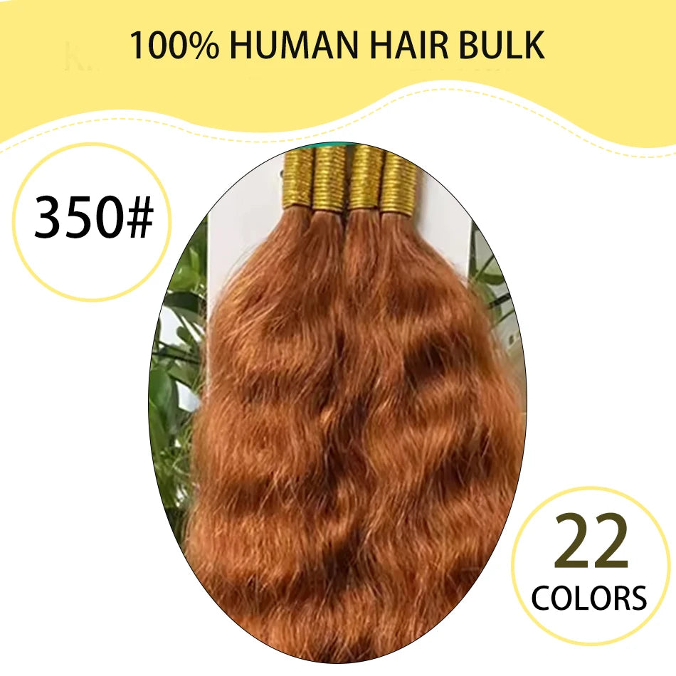 Yelo cabello trenzado humano húmedo y ondulado, cabello trenzado humano ondulado francés súper a granel para trenzas bohemias para suministro de salón 50G 100G
