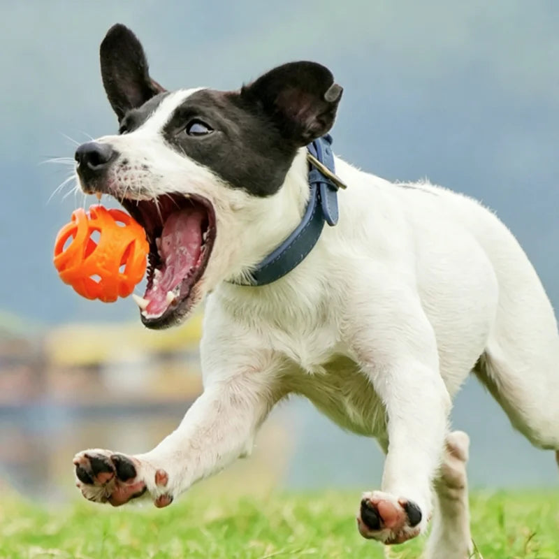 Nueva Pelota de Juguete Elástica y Resistente para Perros, Juguete Molar para Limpieza Dental, Pelota Interactiva para Perros Pequeños y Medianos