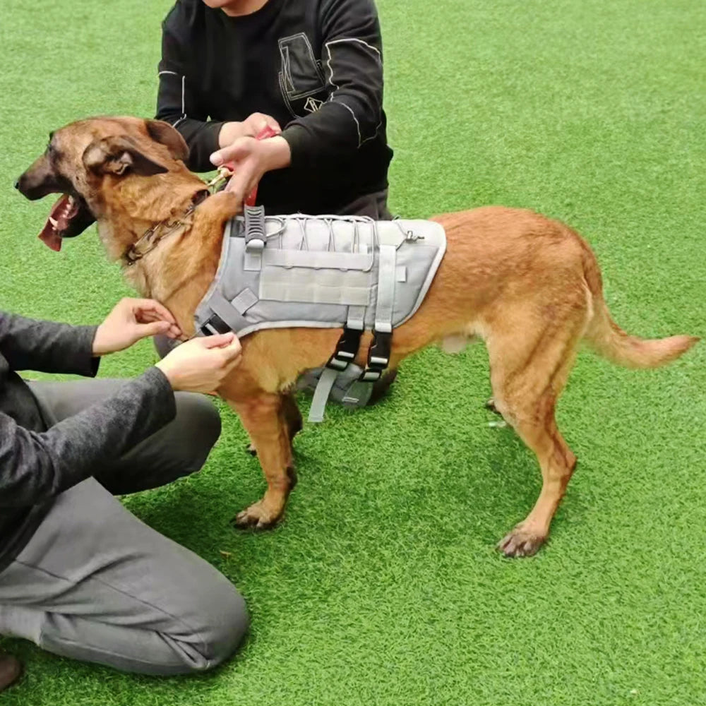 Arnés para perro con nombre personalizado, teléfono personalizado, arnés ajustable transpirable para mascotas, chaleco con correa para el pecho para perros medianos y grandes