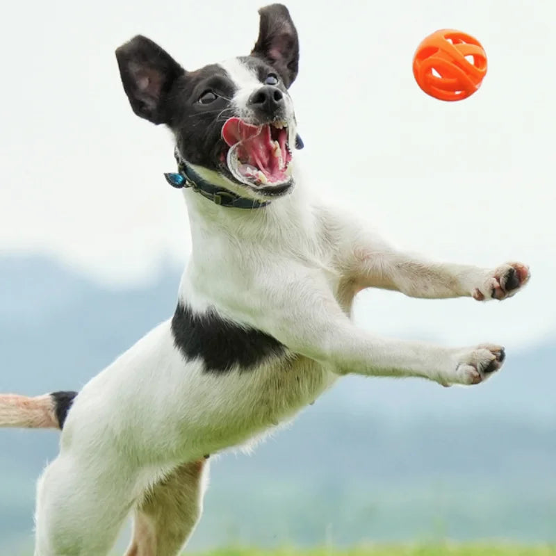 Nueva Pelota de Juguete Elástica y Resistente para Perros, Juguete Molar para Limpieza Dental, Pelota Interactiva para Perros Pequeños y Medianos