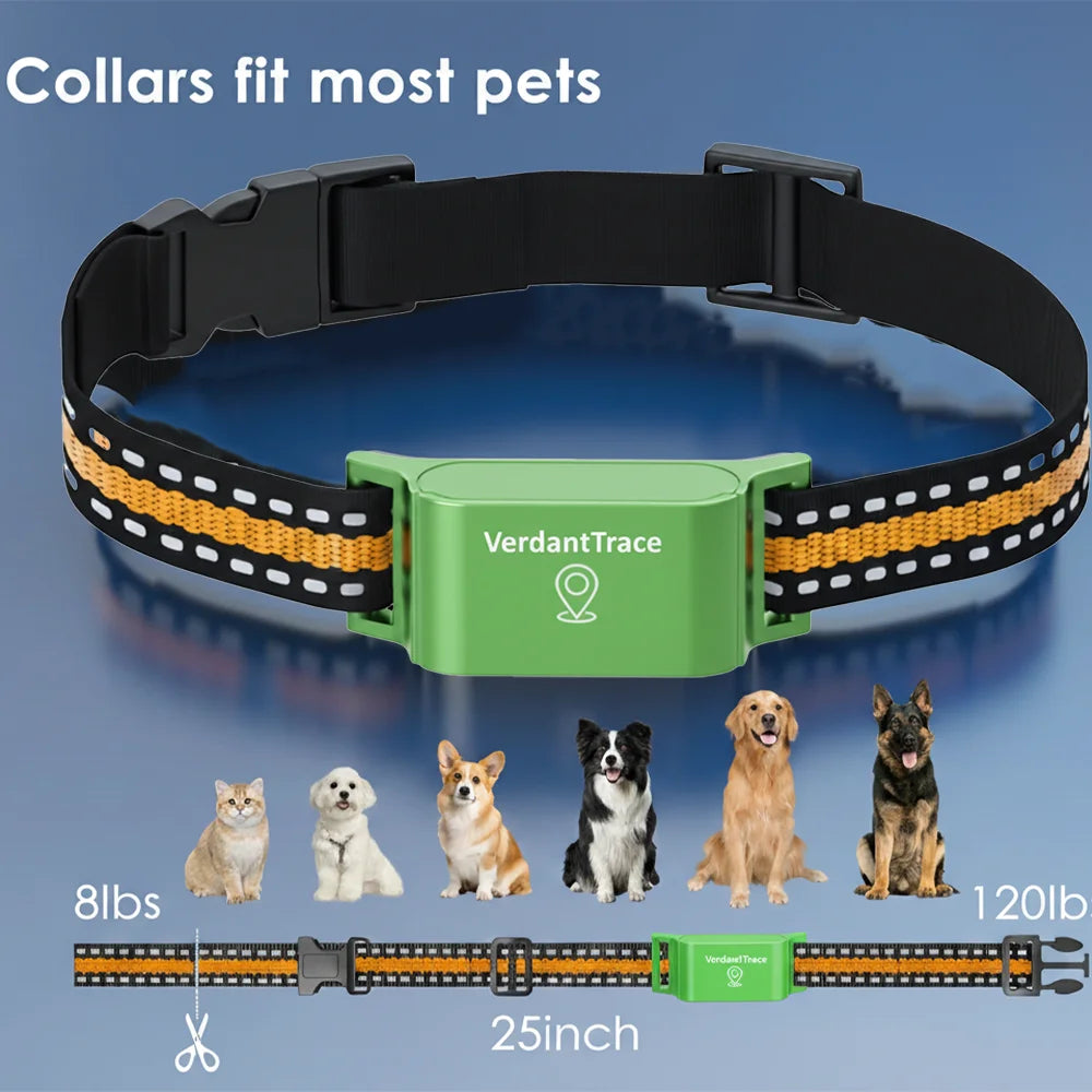 Rastreador de Mascotas VerdantTrace para Teléfonos Android e iOS, GPS 4G, Collar con Rastreador para Gatos y Perros, Rastreo en Tiempo Real, Localizador Antipérdida, Sin Suscripción