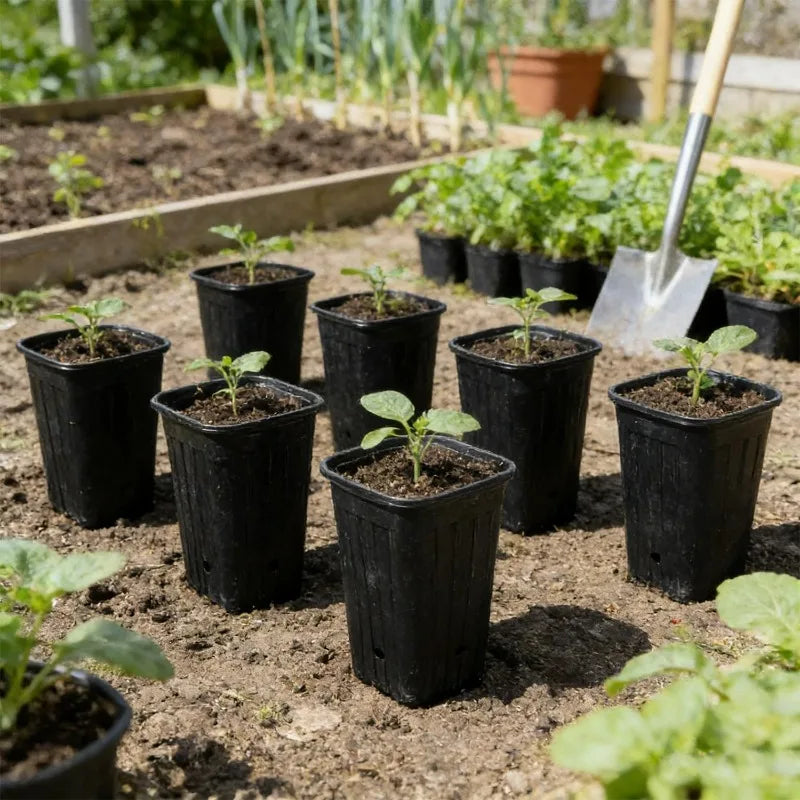 Macetas Altas y Profundas para Árboles, Contenedores para Plantas y Flores, Macetas de Inicio con Orificios de Drenaje, Vasos para Semilleros de Jardín y Exteriores