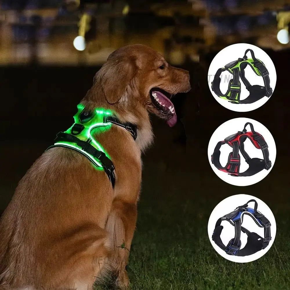 Arnés para perro con luz LED duradera, correa para el pecho luminosa recargable ajustable para mascotas, chaleco brillante suave intermitente para perros, gatos y mascotas