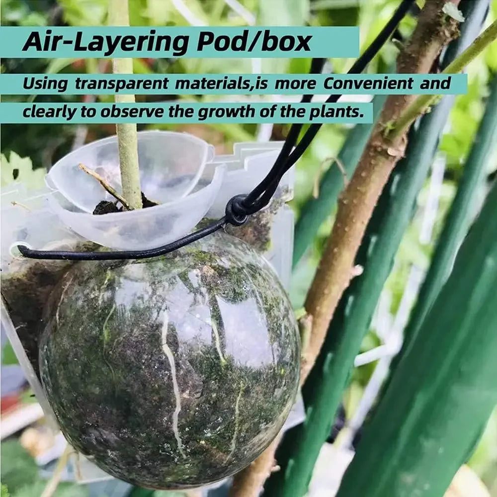 Bolas de capas de aire de 5/8/12cm, bola de enraizamiento de plantas, caja de cultivo de raíces de propagación de alta presión, caja de cría de injerto, maceta para vivero