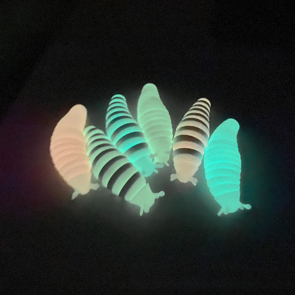 Juguete antiestrés 3D Slug, caracol colorido, giro creativo, alivio de todas las edades, juguetes sensoriales antiansiedad para niños