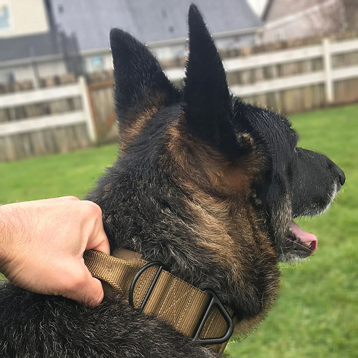 Collar táctico reflectante, collar de nailon ajustable para entrenamiento militar, collar para perro con asa, collar para perro de liberación rápida