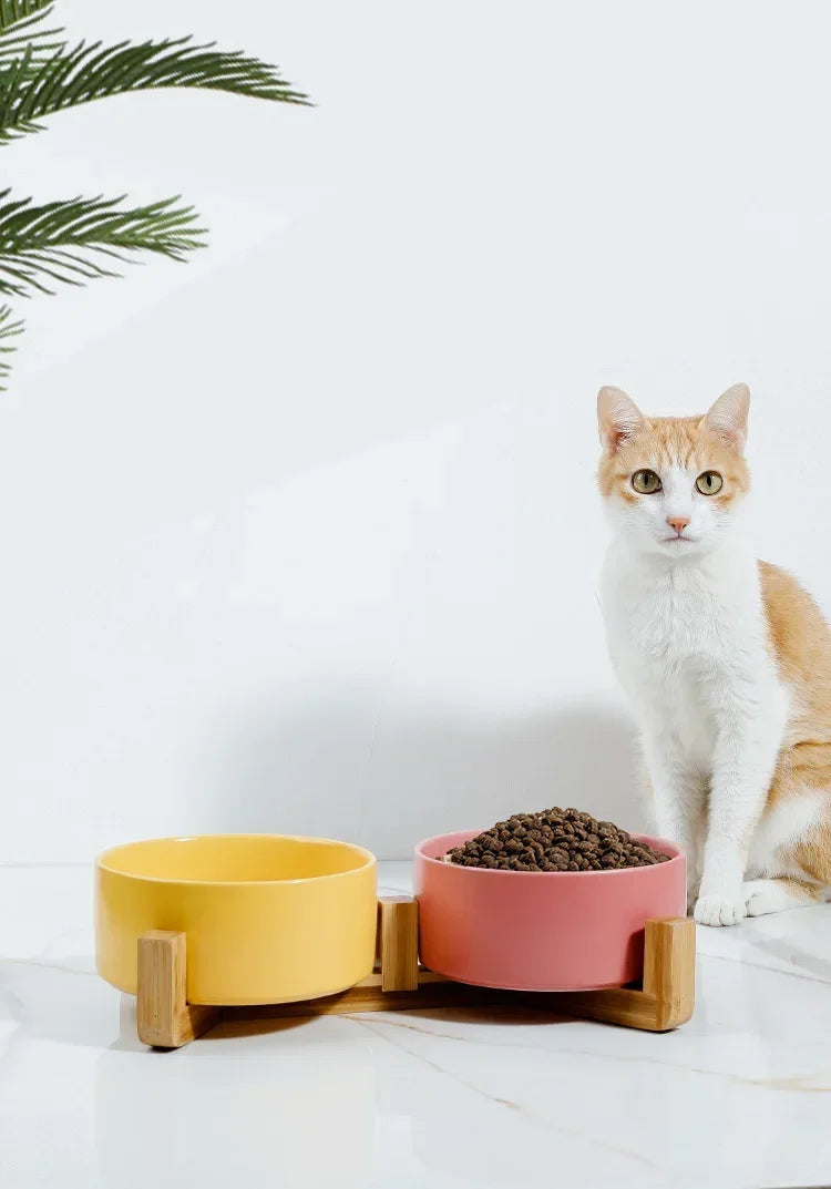 Cuenco doble de cerámica para gatos, cuenco para perros de 400ML, cuenco de agua para alimentación de mascotas, alimentador para cachorros y gatos, suministros de productos, cuencos de agua para alimentos