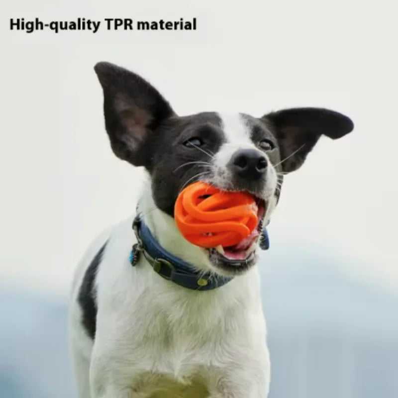 Nueva Pelota de Juguete Elástica y Resistente para Perros, Juguete Molar para Limpieza Dental, Pelota Interactiva para Perros Pequeños y Medianos