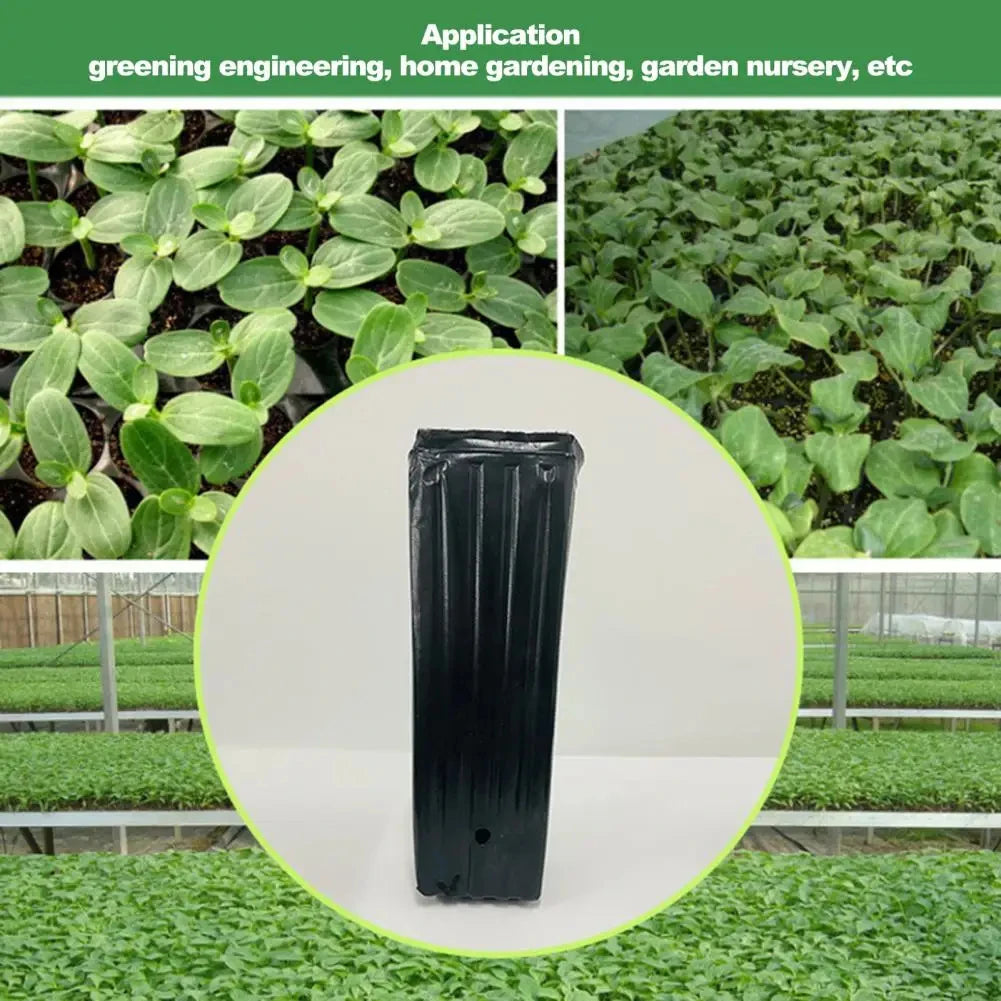 Semilla de plantas cuadrada alta, taza para plantar, maceta de plástico para vivero profundo, contenedor para plantas y flores, bolsas para cultivo de trasplante de jardín