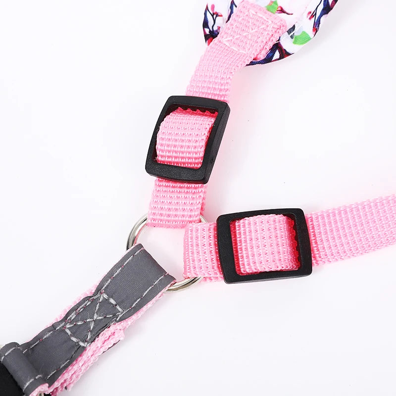 Conjunto de correa de arnés ajustable para perro, chaleco de Bulldog Francés, correa reflectante para cachorro y gato
