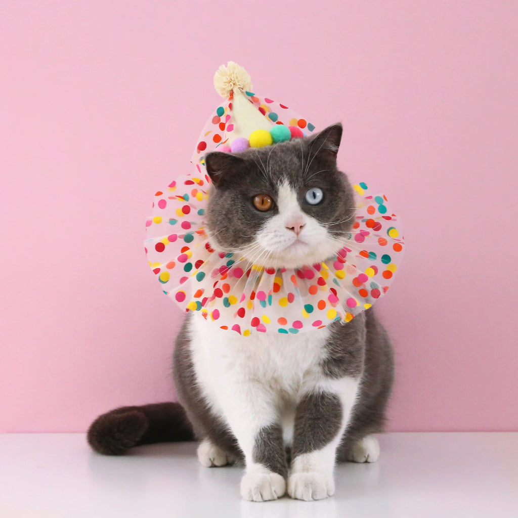 Sombrero de cumpleaños colorido para perros y gatos, bufanda ajustable para cumpleaños, conjunto de sombrero, babero para perros, vestido de fiesta de cumpleaños para mascotas, sombrero, accesorios para perros