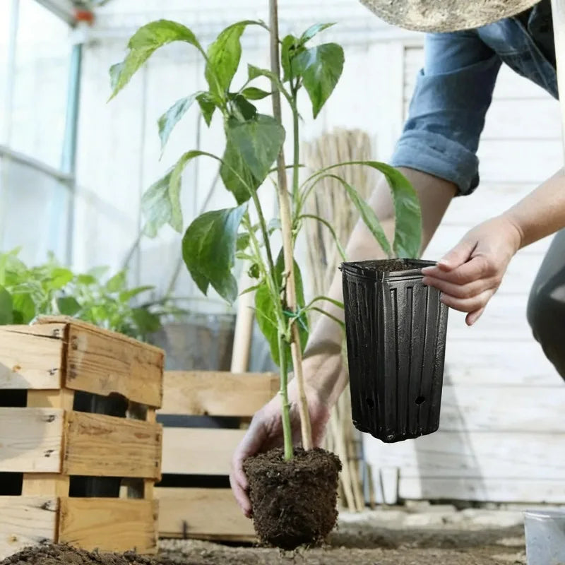 Macetas Altas y Profundas para Árboles, Contenedores para Plantas y Flores, Macetas de Inicio con Orificios de Drenaje, Vasos para Semilleros de Jardín y Exteriores