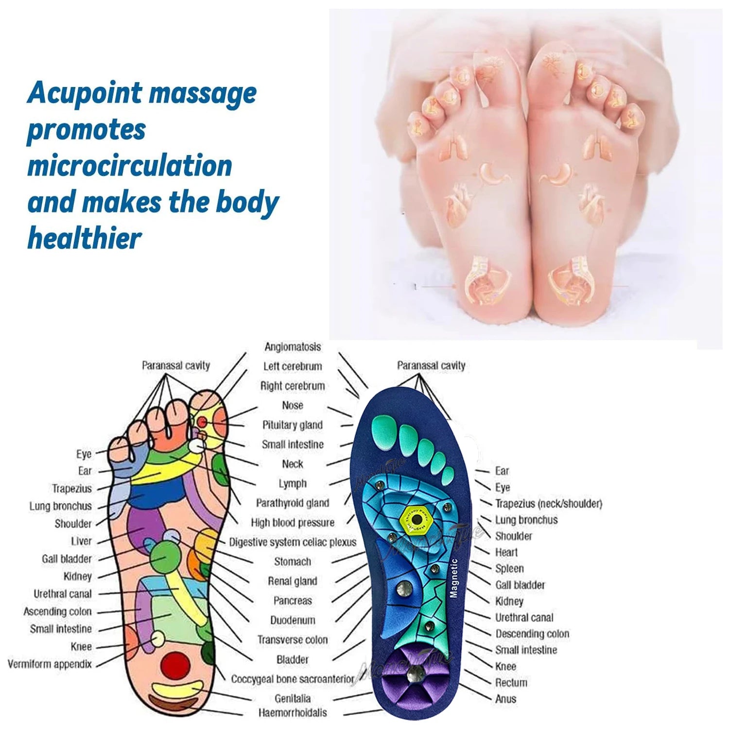 Plantillas de acupresión para pies, terapia magnética, reflexología, cuidado de la salud, almohadillas para zapatos, soporte para arco, absorción de impacto, suelas de zapatos cómodas