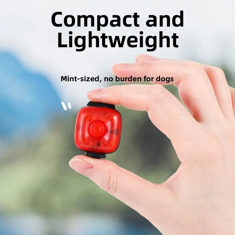Colgante Luminoso Recargable USB para Mascotas, Linterna LED de 3 Modos, Collar para Mascotas, Luz LED de Seguridad para Perros, Colgante Luminoso para Actividades al Aire Libre