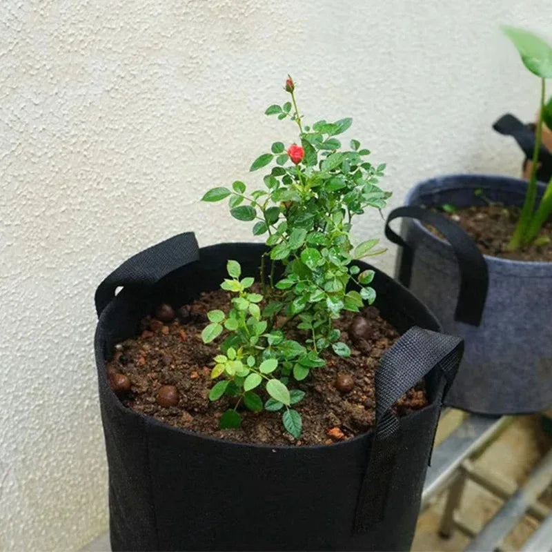 Paquete de 5 Bolsas de Cultivo de Tela + Alfombrillas Antihierbas y Etiquetas Gratis, Macetas de Tela No Tejida para Tomates, Fresas y Vegetales, Macetas de Poda Aérea Tamaños S/M/L/XL/2XL/3XL