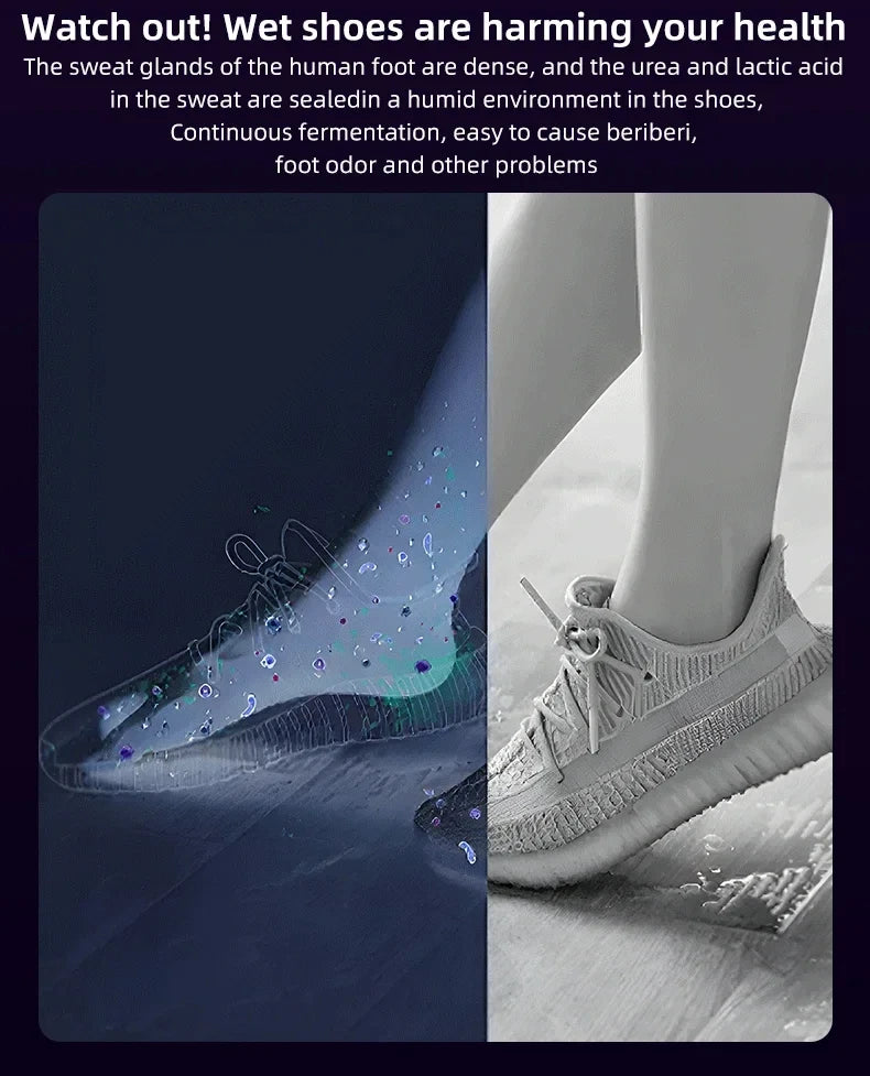 HOMEFISH Secador de zapatos eléctrico de estilo coreano 220 V - Calentador de calzado para desodorizar y esterilizar aparatos de uso doméstico