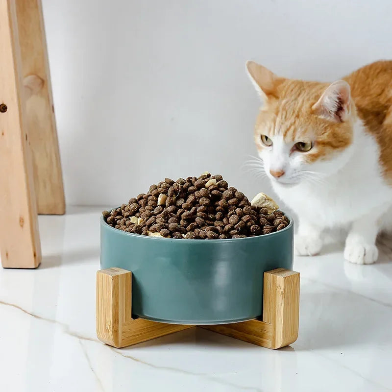 Cuenco doble de cerámica para gatos, cuenco para perros de 400ML, cuenco de agua para alimentación de mascotas, alimentador para cachorros y gatos, suministros de productos, cuencos de agua para alimentos