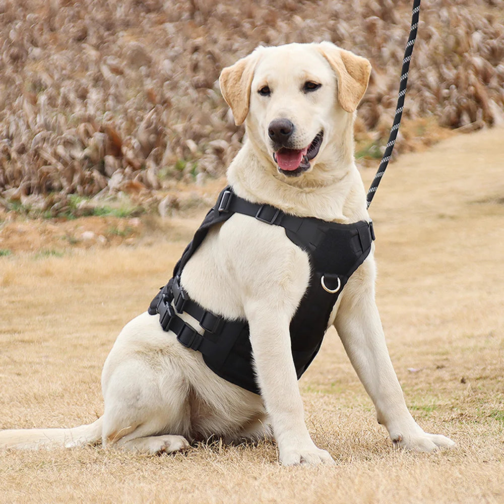 Arnés para perro con nombre personalizado, teléfono personalizado, arnés ajustable transpirable para mascotas, chaleco con correa para el pecho para perros medianos y grandes