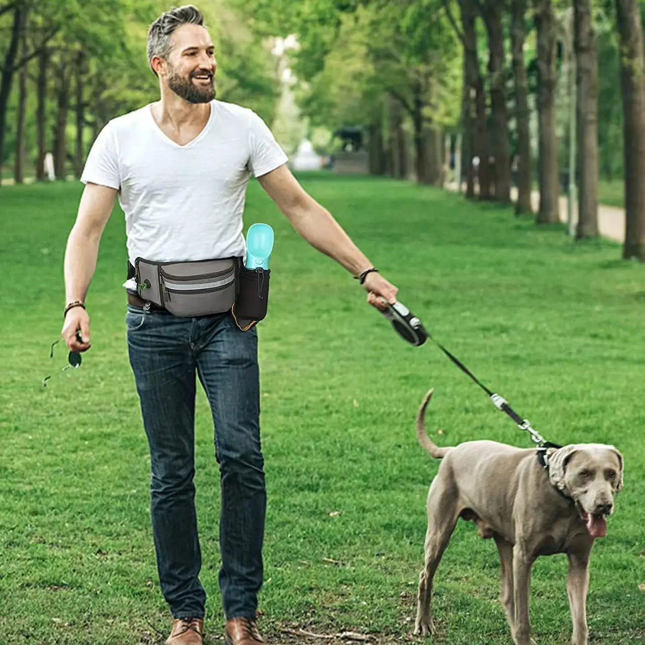 Riñonera de adiestramiento al aire libre con bolsa de golosinas de entrenamiento para perros desmontable, riñonera reflectante para caminar con mascotas, almacenamiento de correa para correr