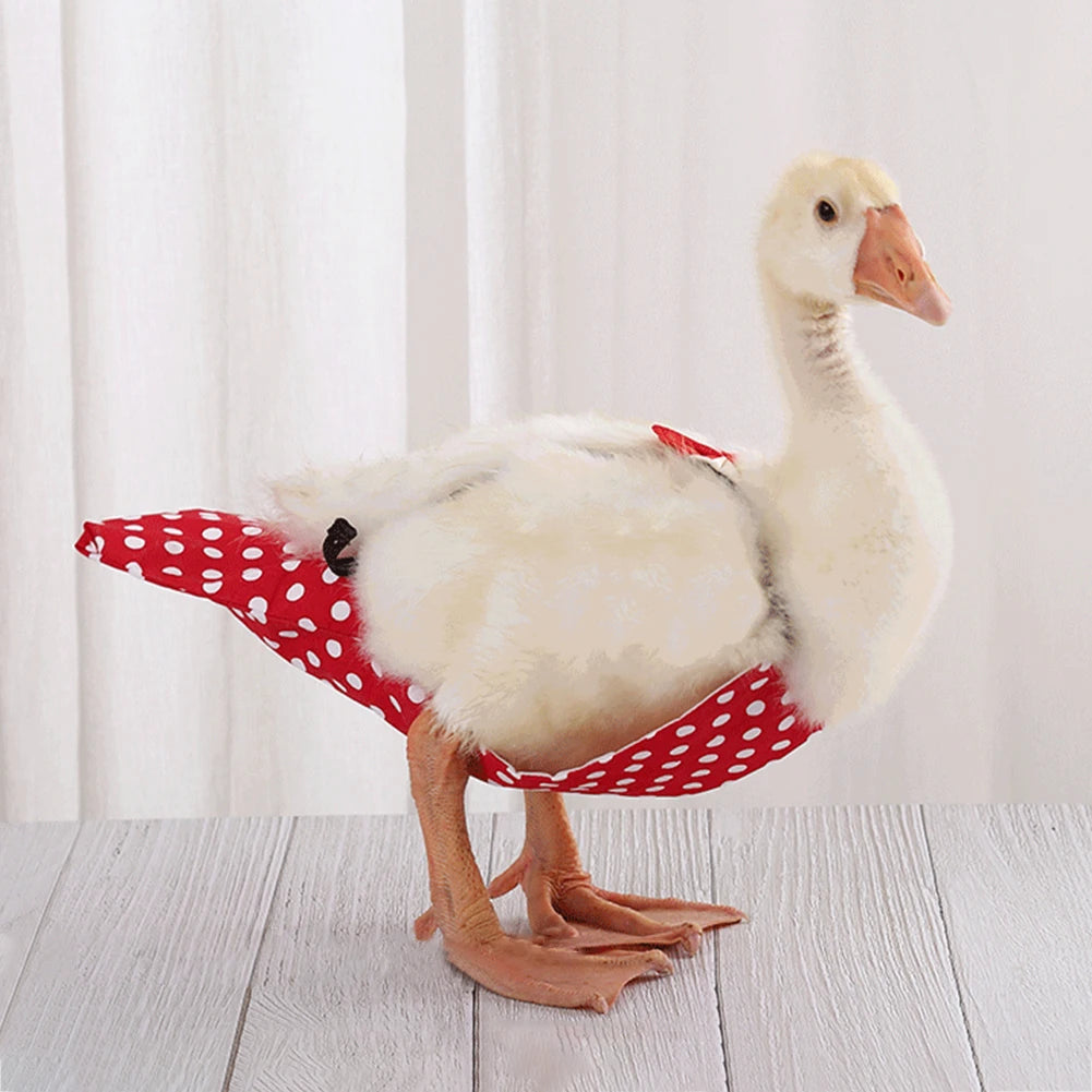 Pañal ajustable para granja de mascotas, de ganso, pato, pollo, aves de corral, Ganso, tela con lazo