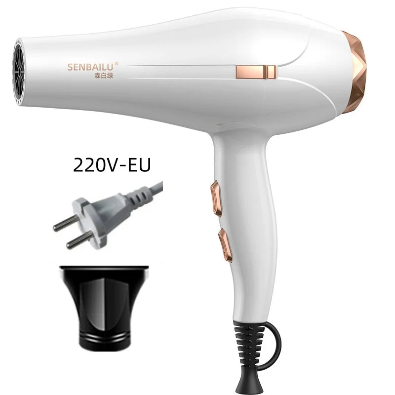Secador de Pelo de Secado Rápido en 11 Segundos con Núcleo de Cobre Puro, Cuidado del Cabello con Iones Negativos y Luz Azul de Alta Velocidad, Secador de Pelo Profesional para el Hogar