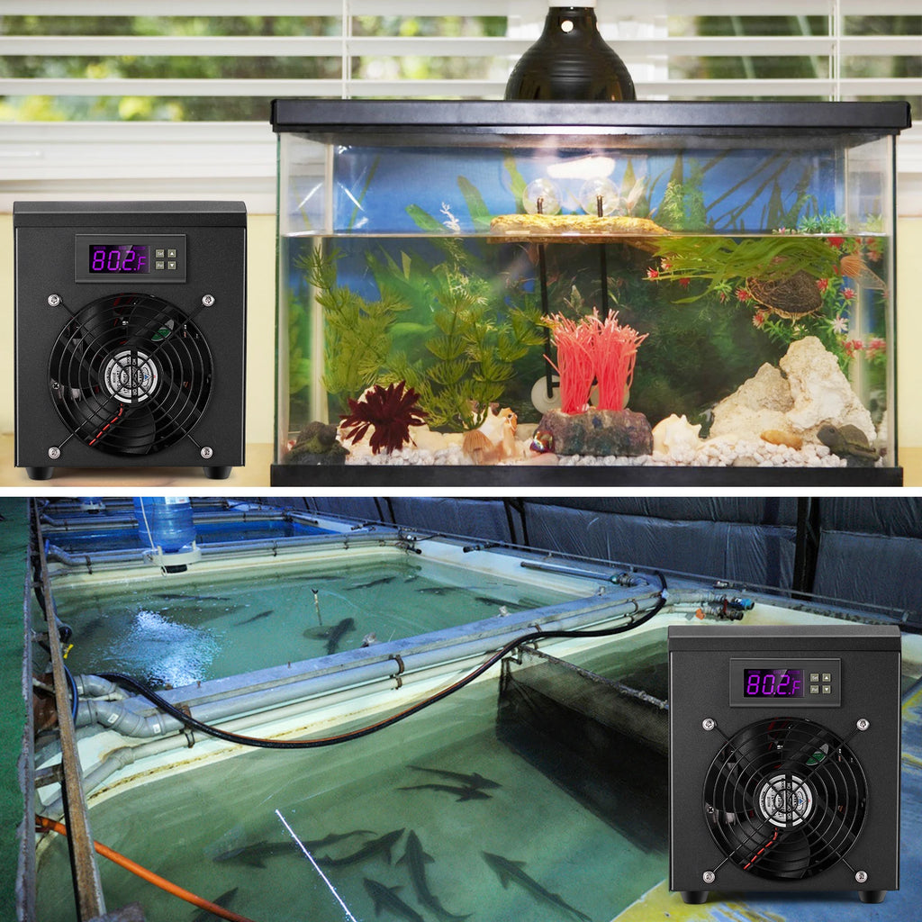 Enfriador de Agua para Acuario de 60L, Calentador para Pecera de 10-40 cm ℃   Sistema de Temperatura Constante con Bomba para Cría Acuática