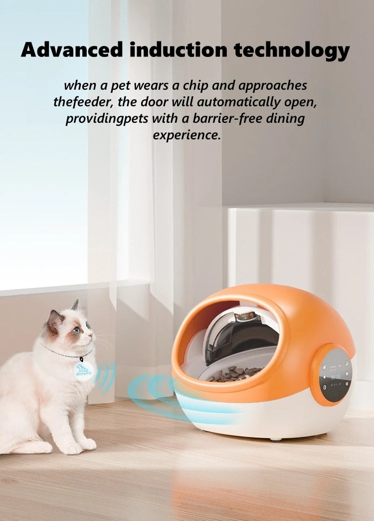 Alimentador automático para gatos, Sensor de reconocimiento de Chip antiarañazos, alimentador inteligente, registro de sonido, mantenimiento fresco, dispensador de alimentos para mascotas a prueba de polvo