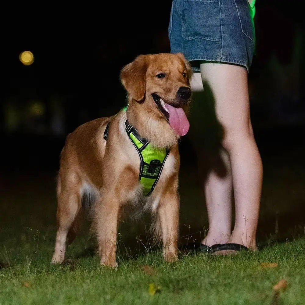 Arnés para perro con luz LED duradera, correa para el pecho luminosa recargable ajustable para mascotas, chaleco brillante suave intermitente para perros, gatos y mascotas