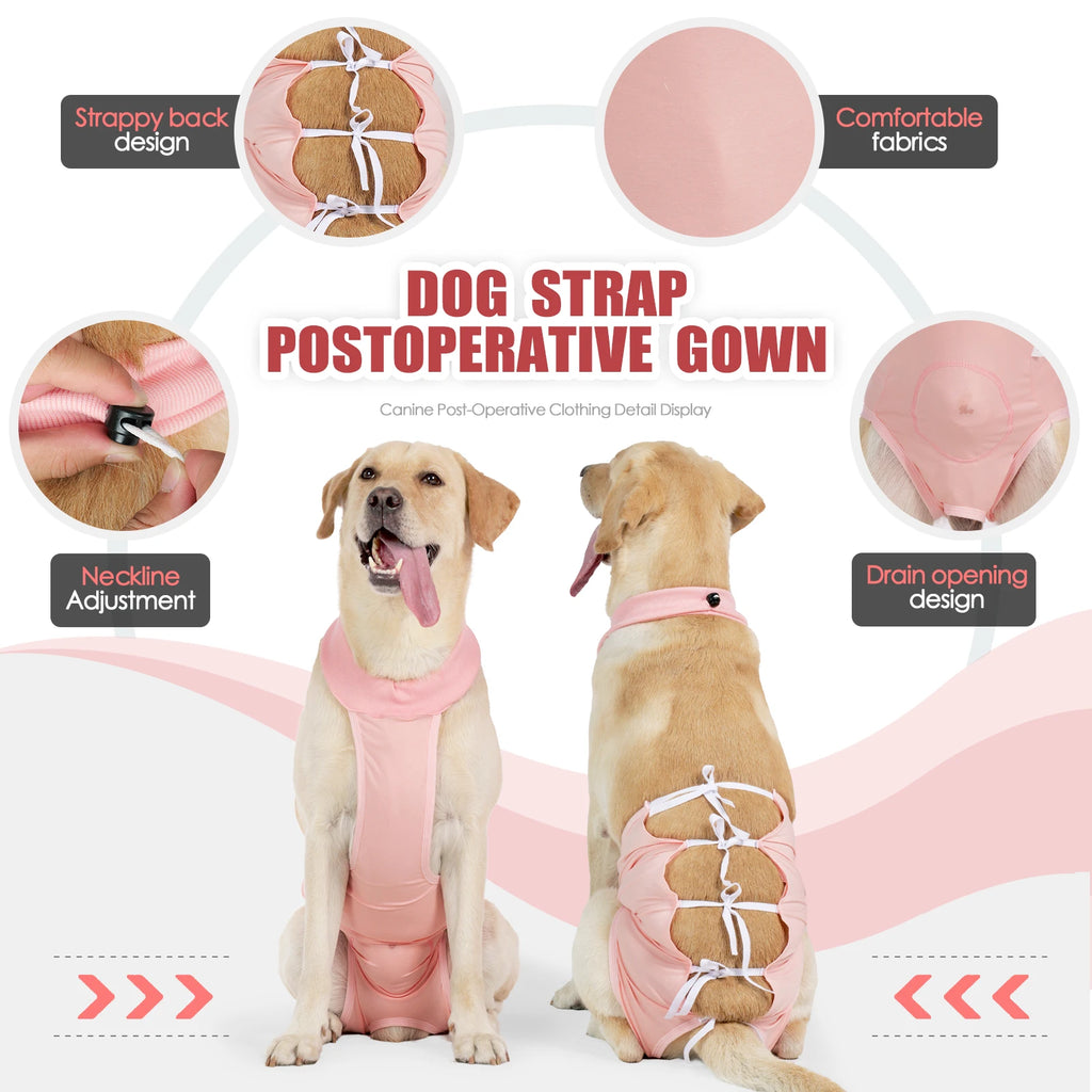 Traje de recuperación de cirugía para mascotas, mono transpirable para perros, traje quirúrgico alternativo con cuello electrónico y cono después de desgaste desgastado/neutrado