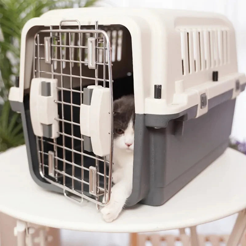 Diseño de dos puertas de seguridad Maleta para perros y gatos Caja de transporte aéreo para mascotas espacial de gran tamaño con ruedas
