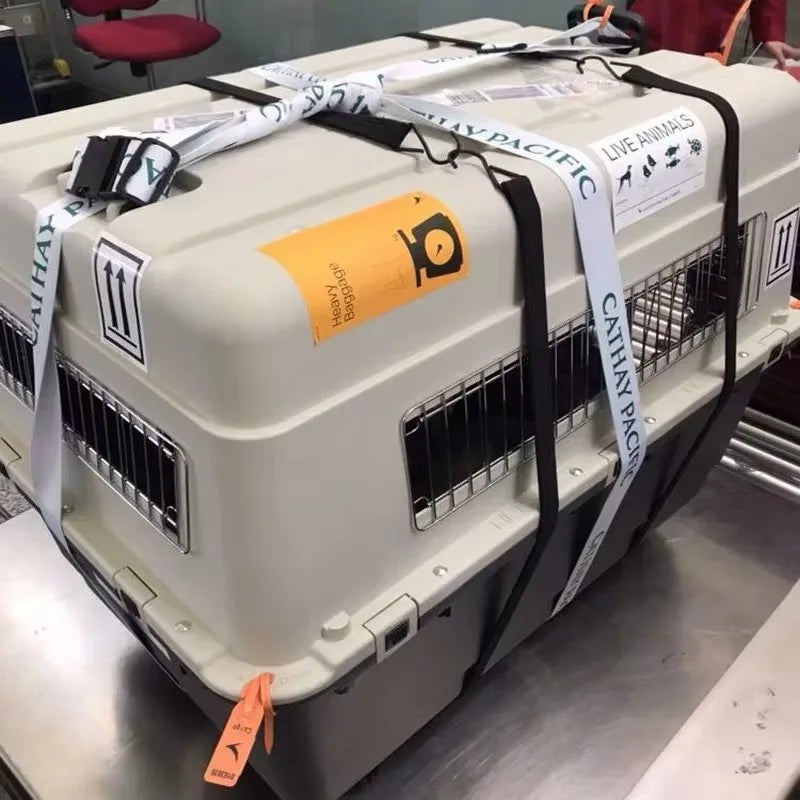 Caja de transporte de plástico para perros aprobada por IATA 3XL, jaula para mascotas con perrera, cajas de viaje para envío de aerolínea