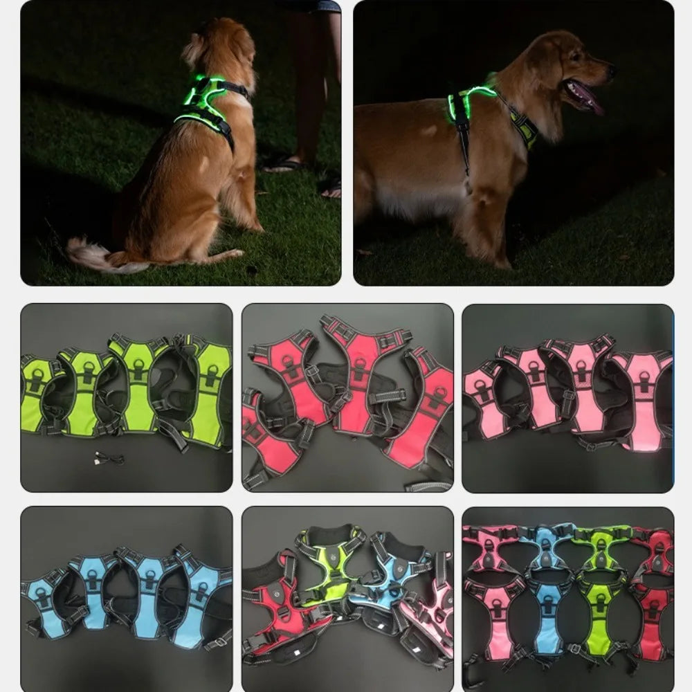 Arnés para perro con luz LED duradera, correa para el pecho luminosa recargable ajustable para mascotas, chaleco brillante suave intermitente para perros, gatos y mascotas