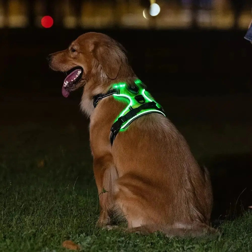 Arnés para perro con luz LED duradera, correa para el pecho luminosa recargable ajustable para mascotas, chaleco brillante suave intermitente para perros, gatos y mascotas