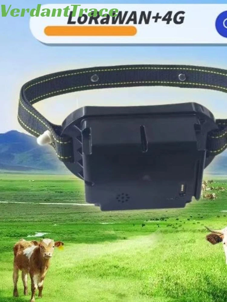 VerdantTrace 2G 4G/NB-IoT Collar GPS WIFI para Ganado, Rastreador Inteligente para Vacas y Ovejas con Carga Solar, Batería Personalizada LoRa de 20000 mAh