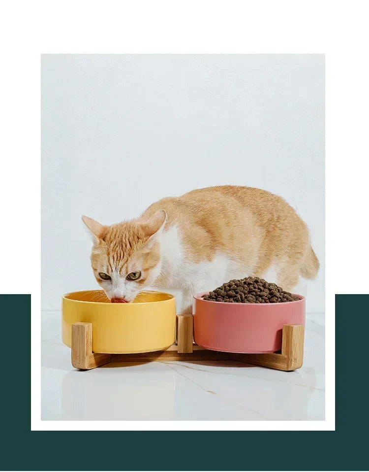 Cuenco doble de cerámica para gatos, cuenco para perros de 400ML, cuenco de agua para alimentación de mascotas, alimentador para cachorros y gatos, suministros de productos, cuencos de agua para alimentos