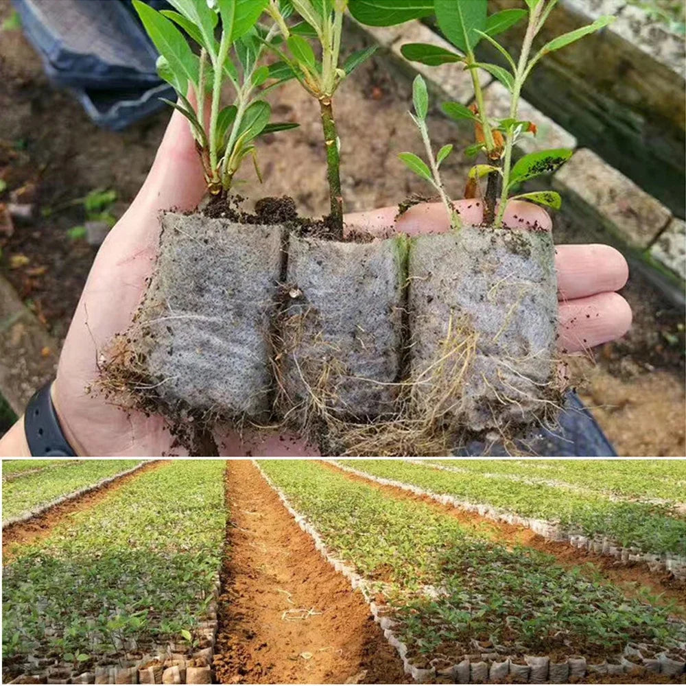 Bolsa de vivero biodegradable, bolsas de cultivo de plantas, semillas de tela no tejida para sembrar macetas para el hogar, accesorios de jardín, herramientas, 100-500 Uds.