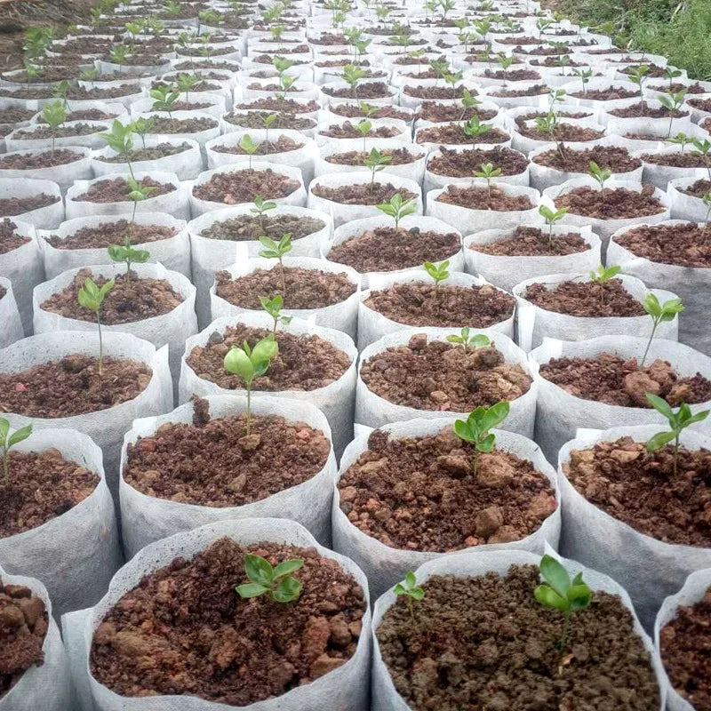 Bolsa de vivero biodegradable, bolsas de cultivo de plantas, semillas de tela no tejida para sembrar macetas para el hogar, accesorios de jardín, herramientas, 100-500 Uds.
